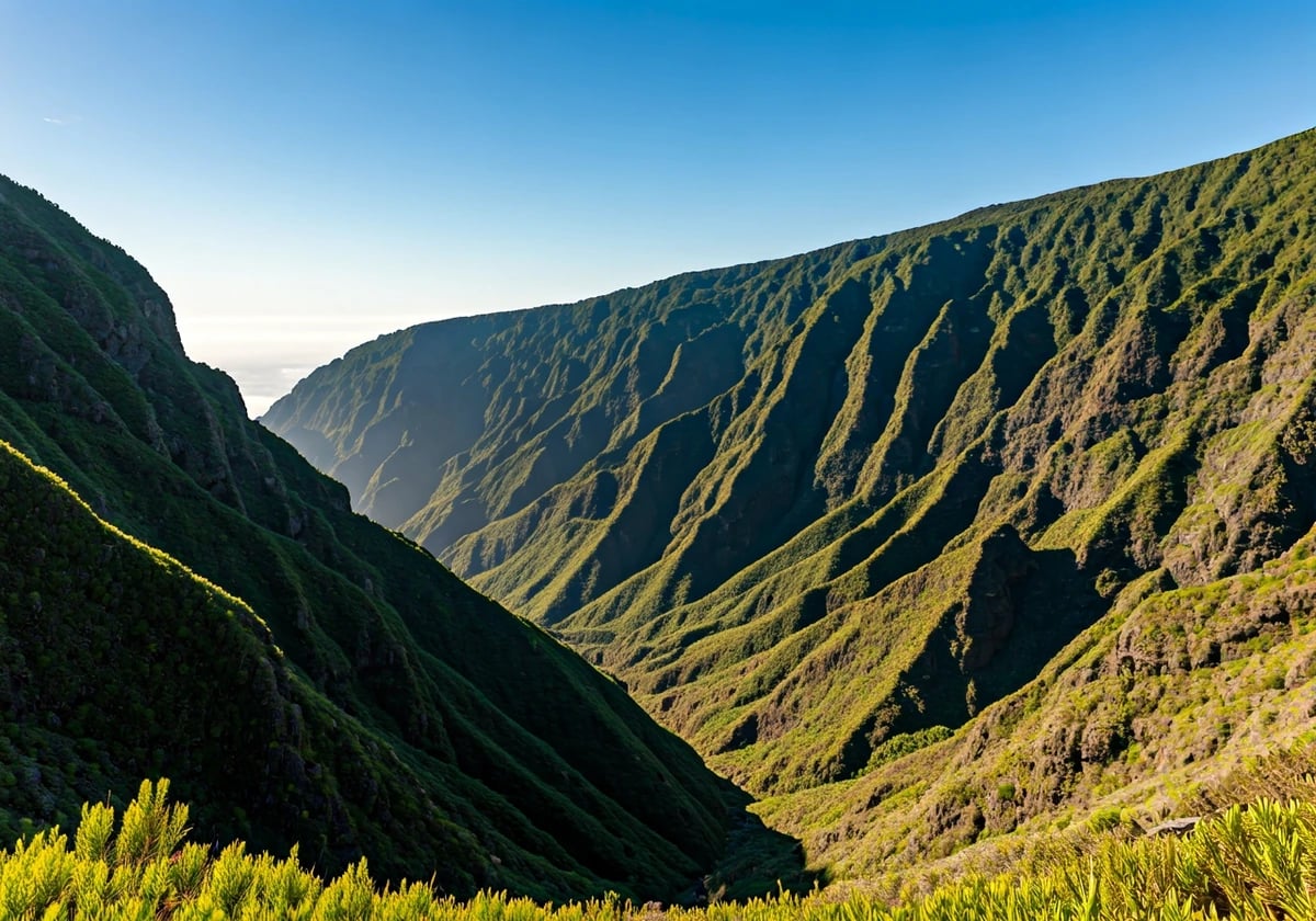 La Palma