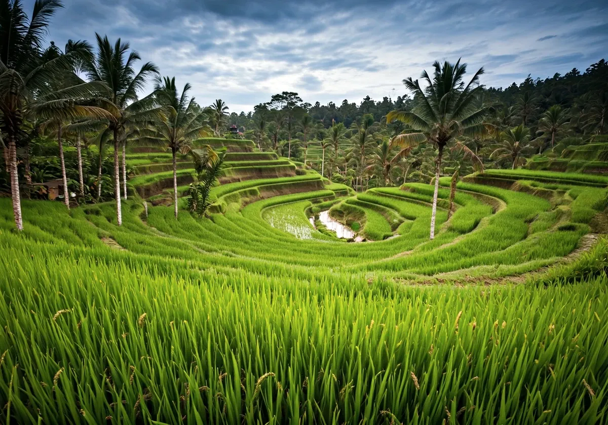 Indonesien